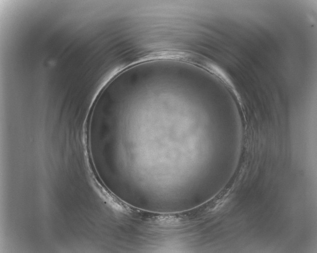 X0000063530907200601231538