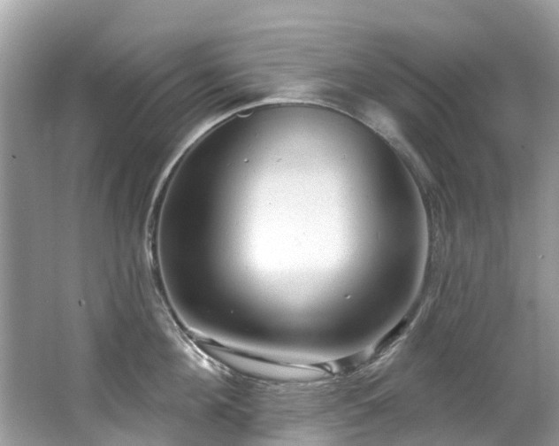 X0000063530908200601231538