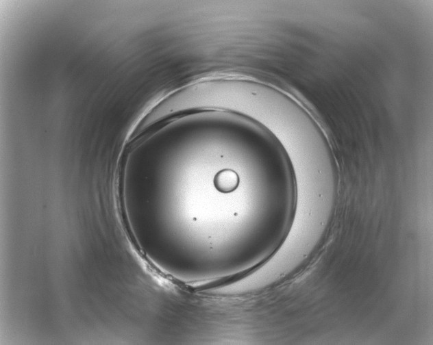 X0000063530909200601231538