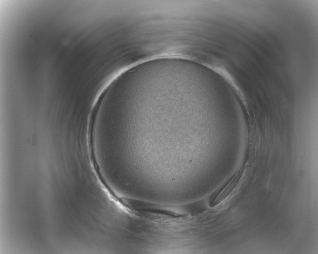 X0000063530910200601231538