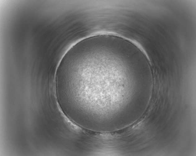 X0000063530911200601231538