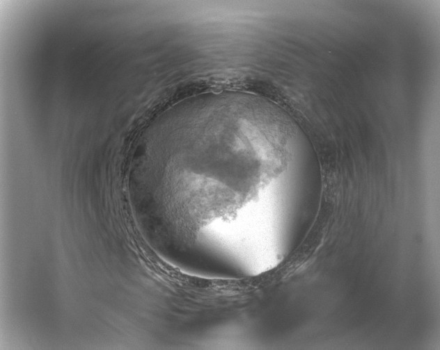 X0000063530913200601231537