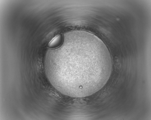 X0000063530918200601231538