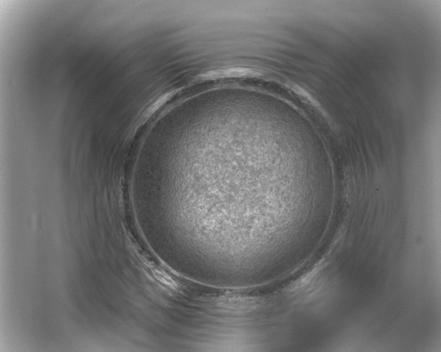 X0000063530921200601231538