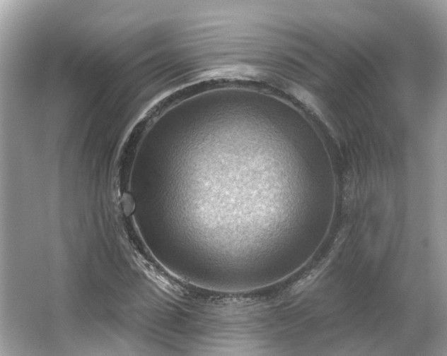 X0000063530923200601231538