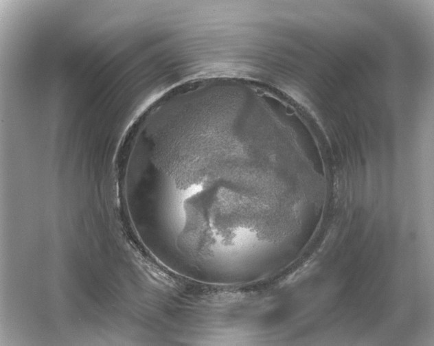 X0000063530925200601231538