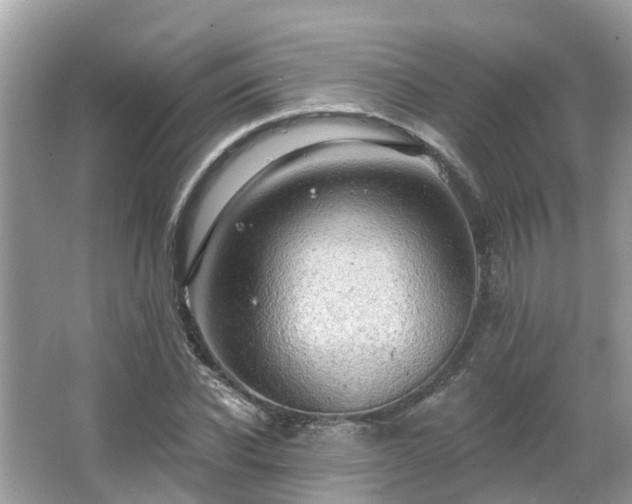 X0000063530926200601231538