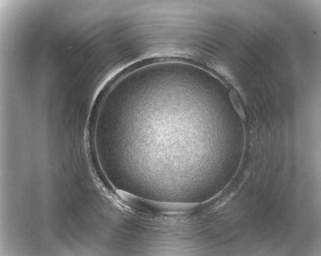 X0000063530928200601231538