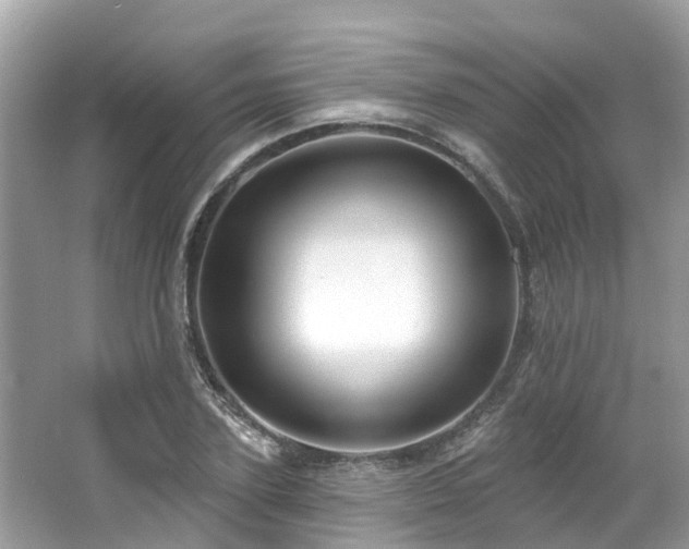 X0000063530931200601231538