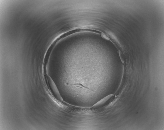 X0000063530932200601231538