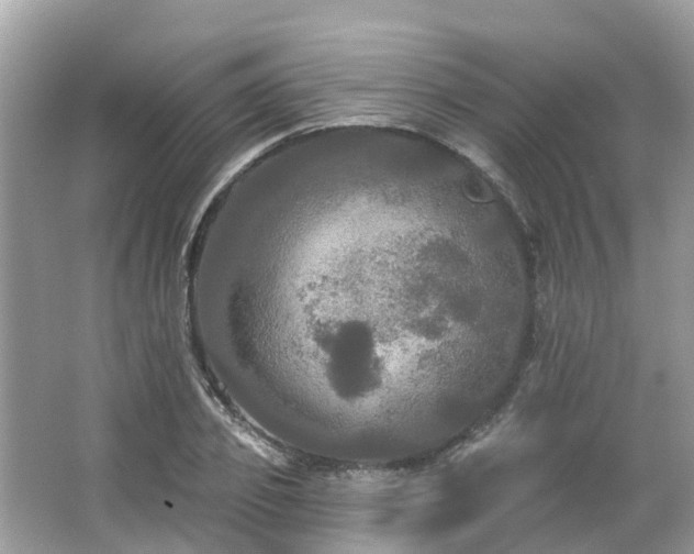 X0000063530933200601231538