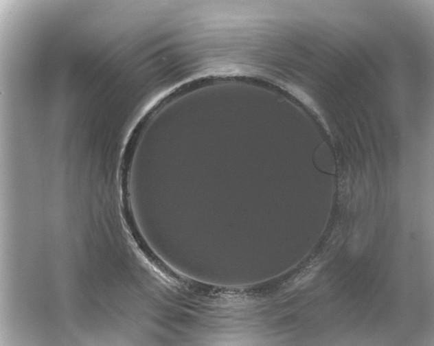 X0000063530935200601231538