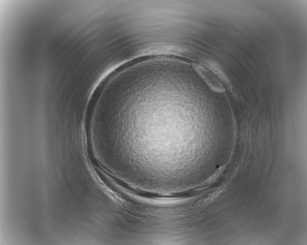 X0000063530936200601231538