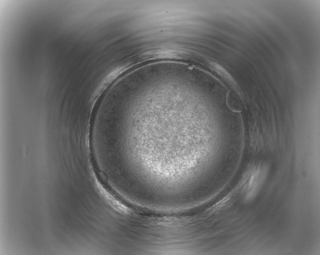 X0000063530938200601231538