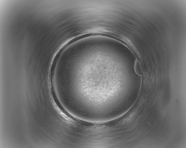 X0000063530939200601231538