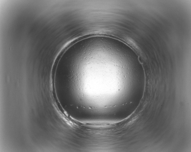 X0000063530940200601231538