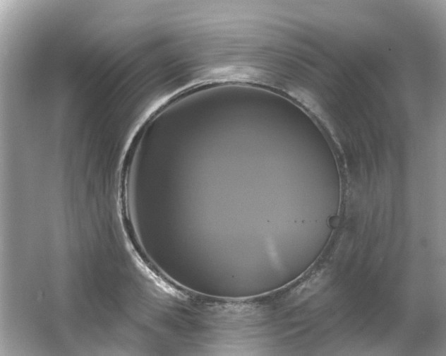 X0000063530941200601231538