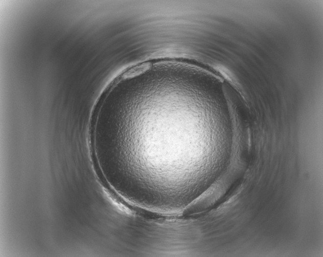 X0000063530942200601231538