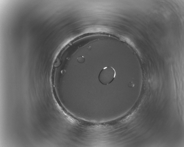 X0000063530943200601231538