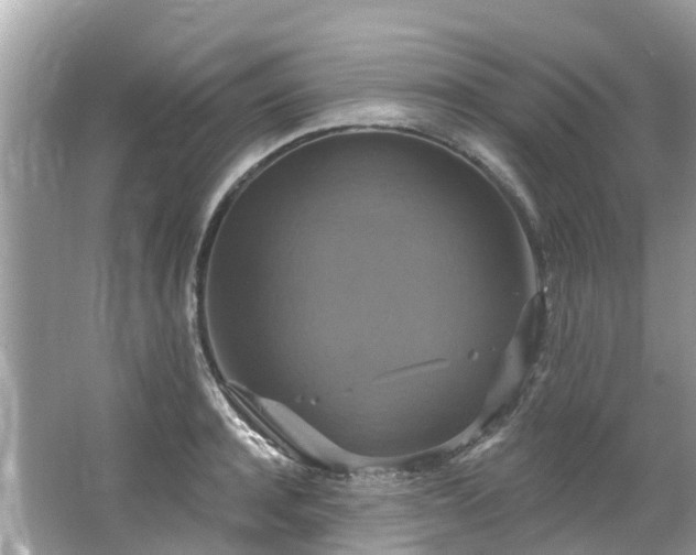 X0000063530944200601231538