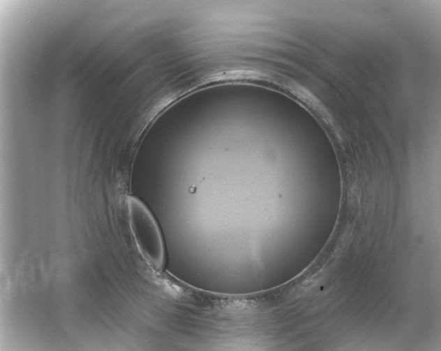 X0000063530945200601231538