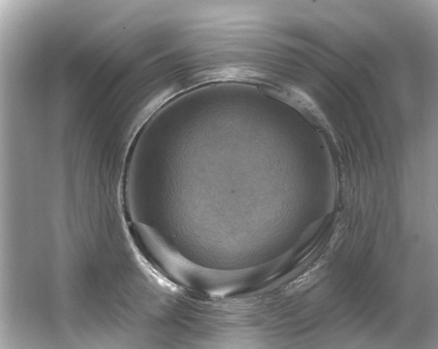 X0000063530946200601231538