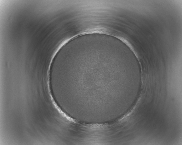 X0000063530949200601231538