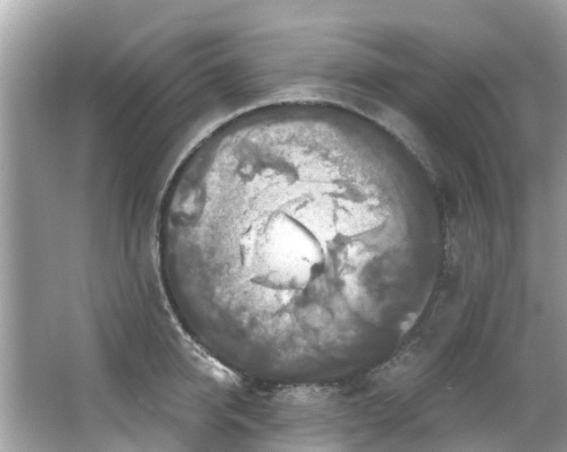 X0000063530950200601231538