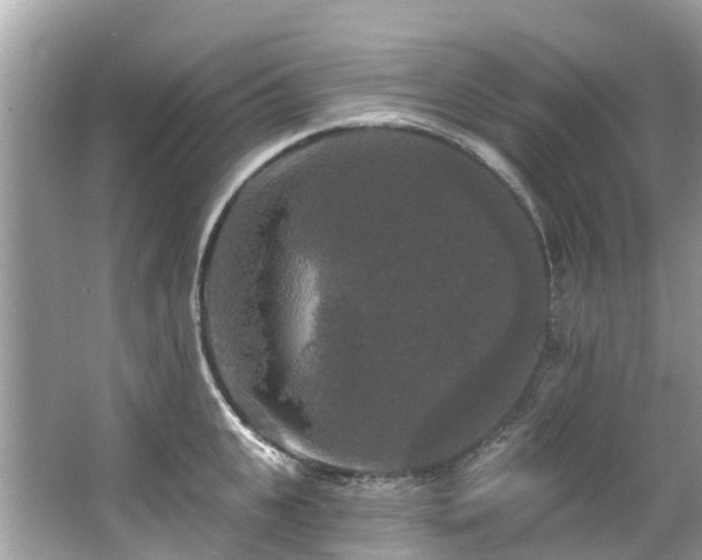 X0000063530951200601231538