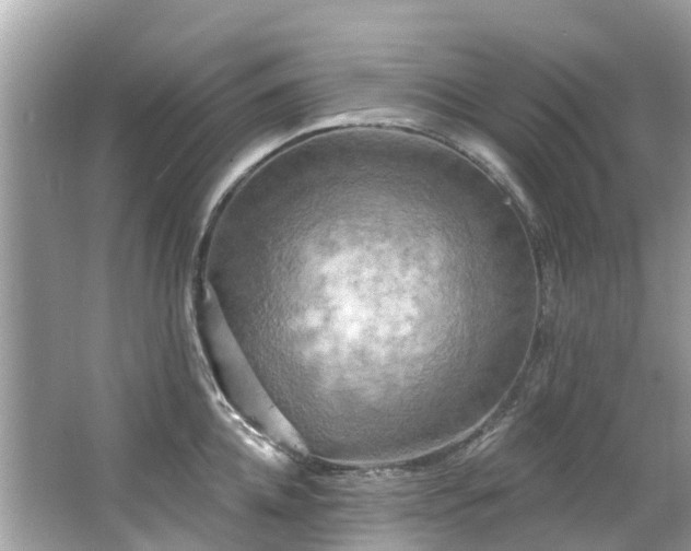 X0000063530952200601231538