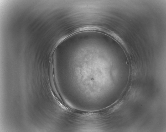 X0000063530953200601231538