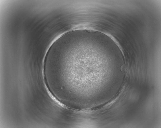 X0000063530957200601231538