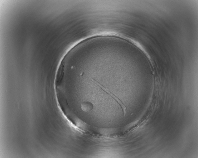 X0000063530959200601231538