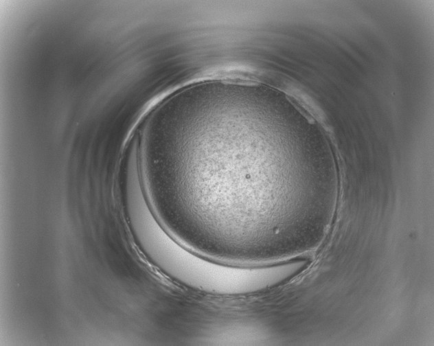 X0000063530960200601231538