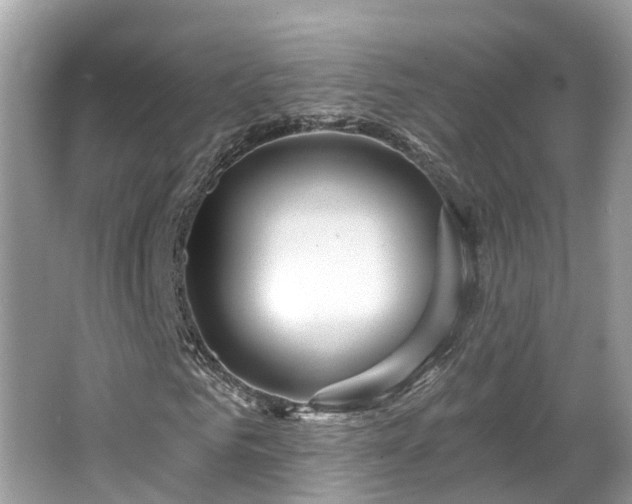 X0000063530961200601231537