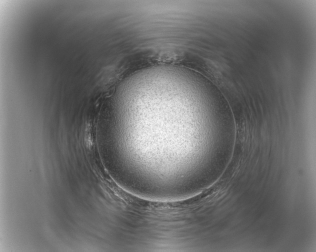 X0000063530962200601231537