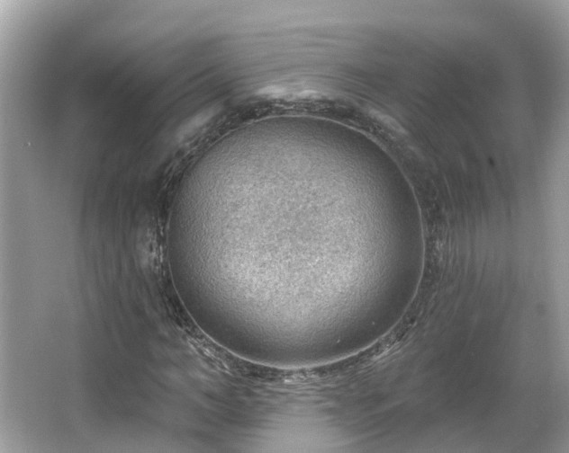 X0000063530966200601231537