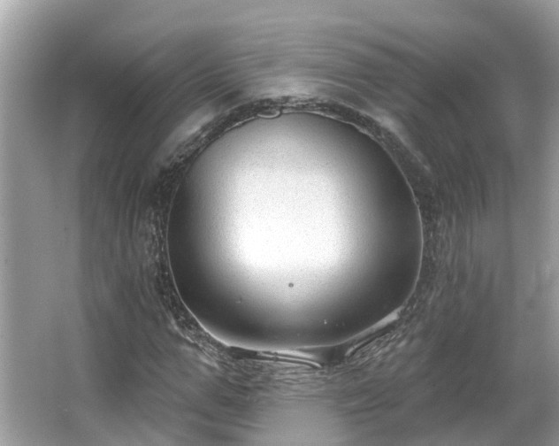 X0000063530967200601231537