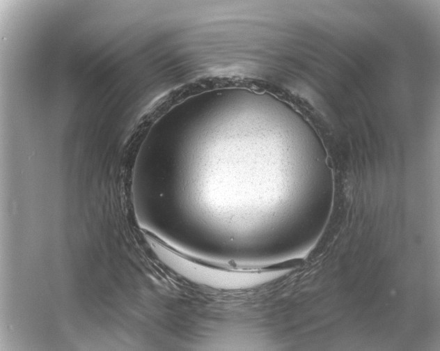 X0000063530968200601231537