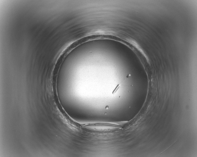 X0000063530972200601231537