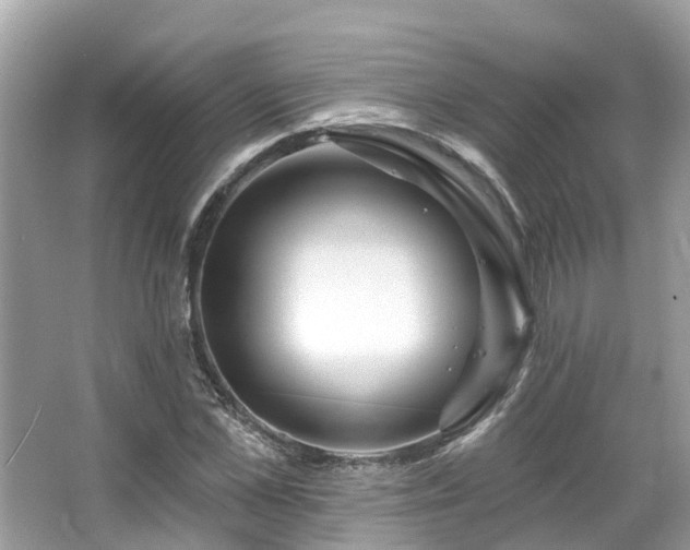 X0000063530973200601231537