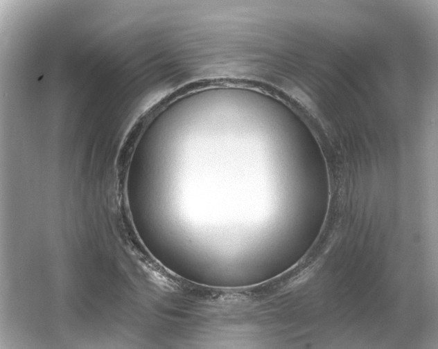 X0000063530974200601231537