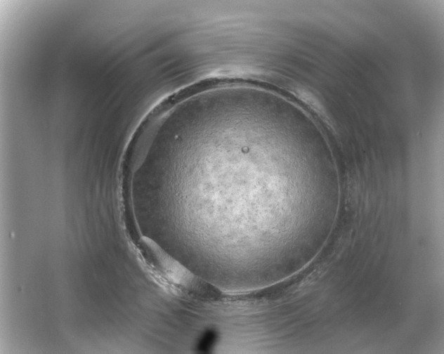 X0000063530976200601231537