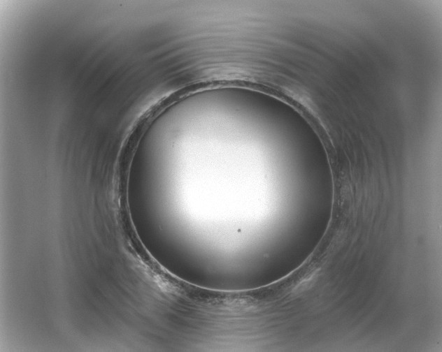 X0000063530979200601231537