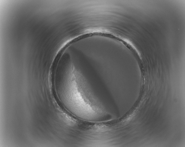 X0000063530983200601231537