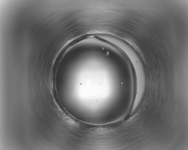 X0000063530984200601231537