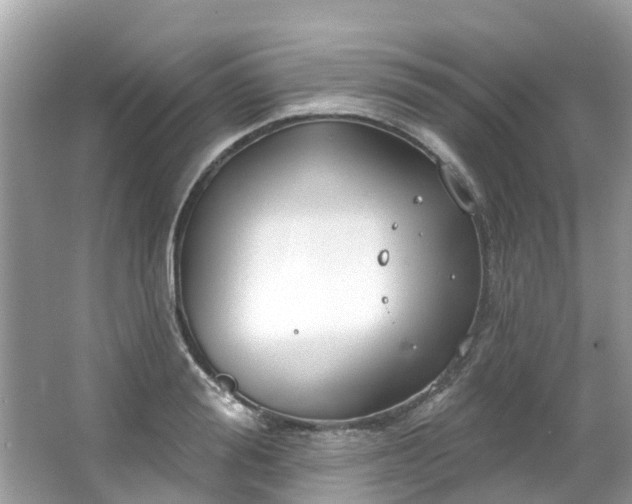 X0000063530988200601231537