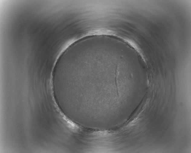 X0000063530990200601231537