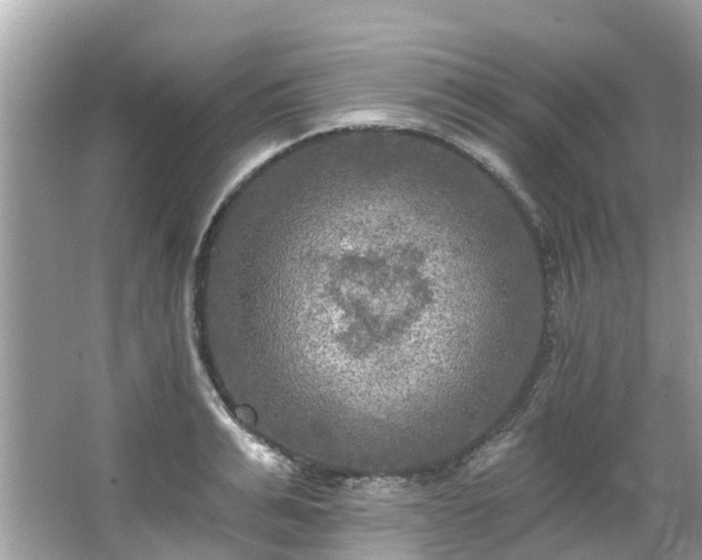 X0000063530991200601231537