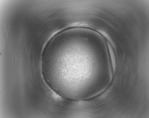 X0000063530992200601231537